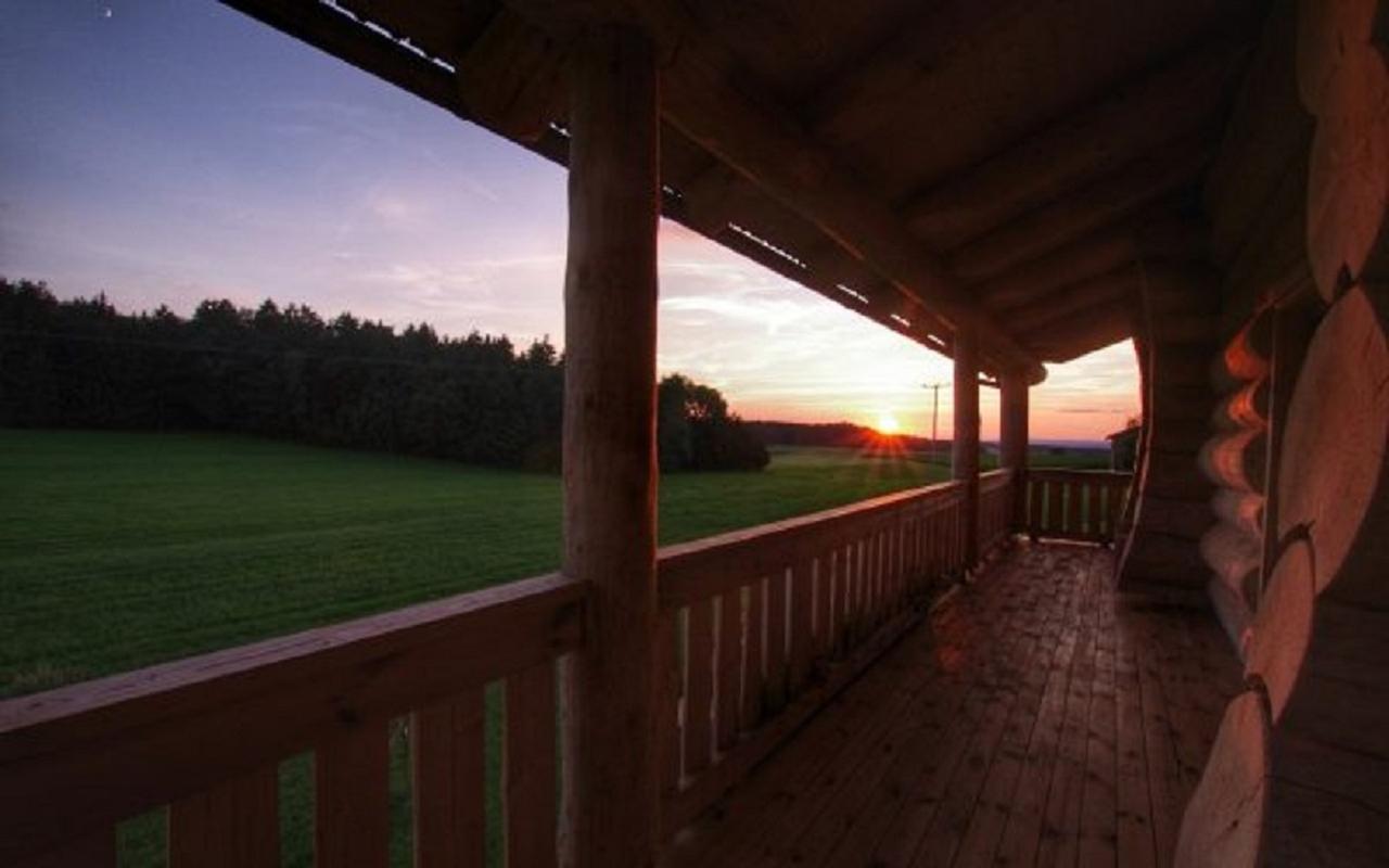 Holzhaus Lugerhof Appartement Roding Buitenkant foto