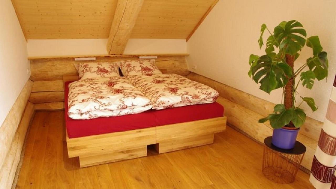 Holzhaus Lugerhof Appartement Roding Buitenkant foto